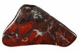 Polished Stromatolite (Collenia) - Minnesota #136925-1